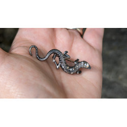 antique salamander brooch